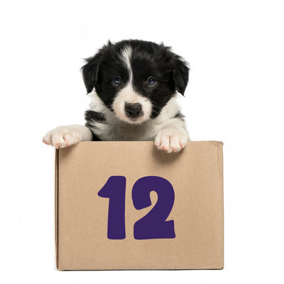12-Month Pooch Parcel Subscription - R525.00 per month for 12 months