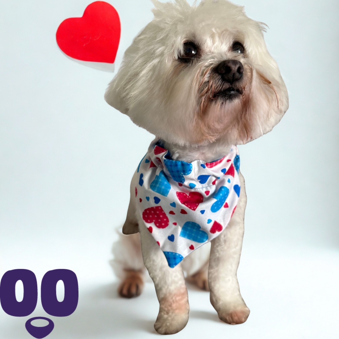 Puppy Love Bandana - Pink