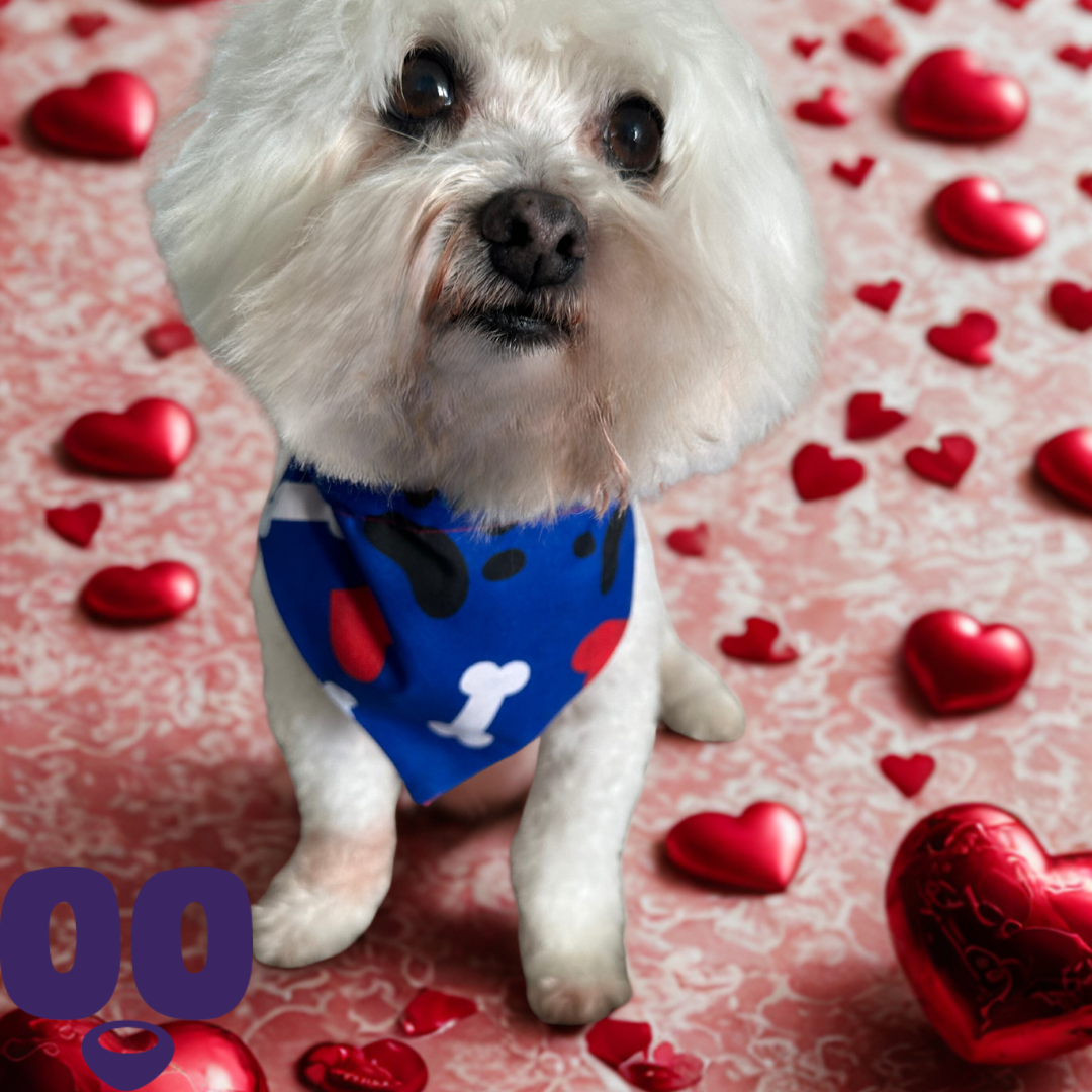 Puppy Love Bandana - Navy