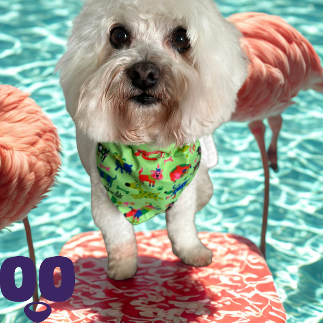 Green Summer Splash & Snack Bandana