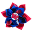 Cutesy Collar Flower