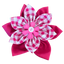 Cutesy Collar Flower