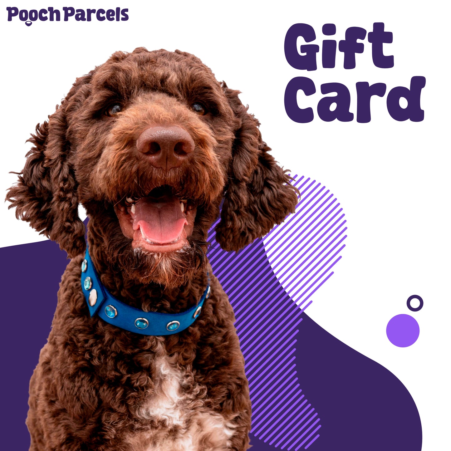 Pooch Parcel Gift Card