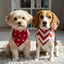 Scrunchie Bandana Set - Red