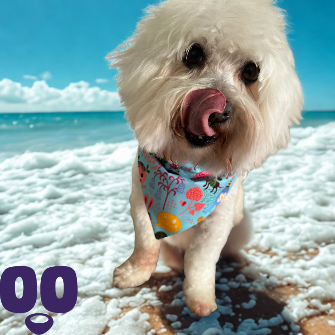 Blue Summer Splash & Snack Bandana