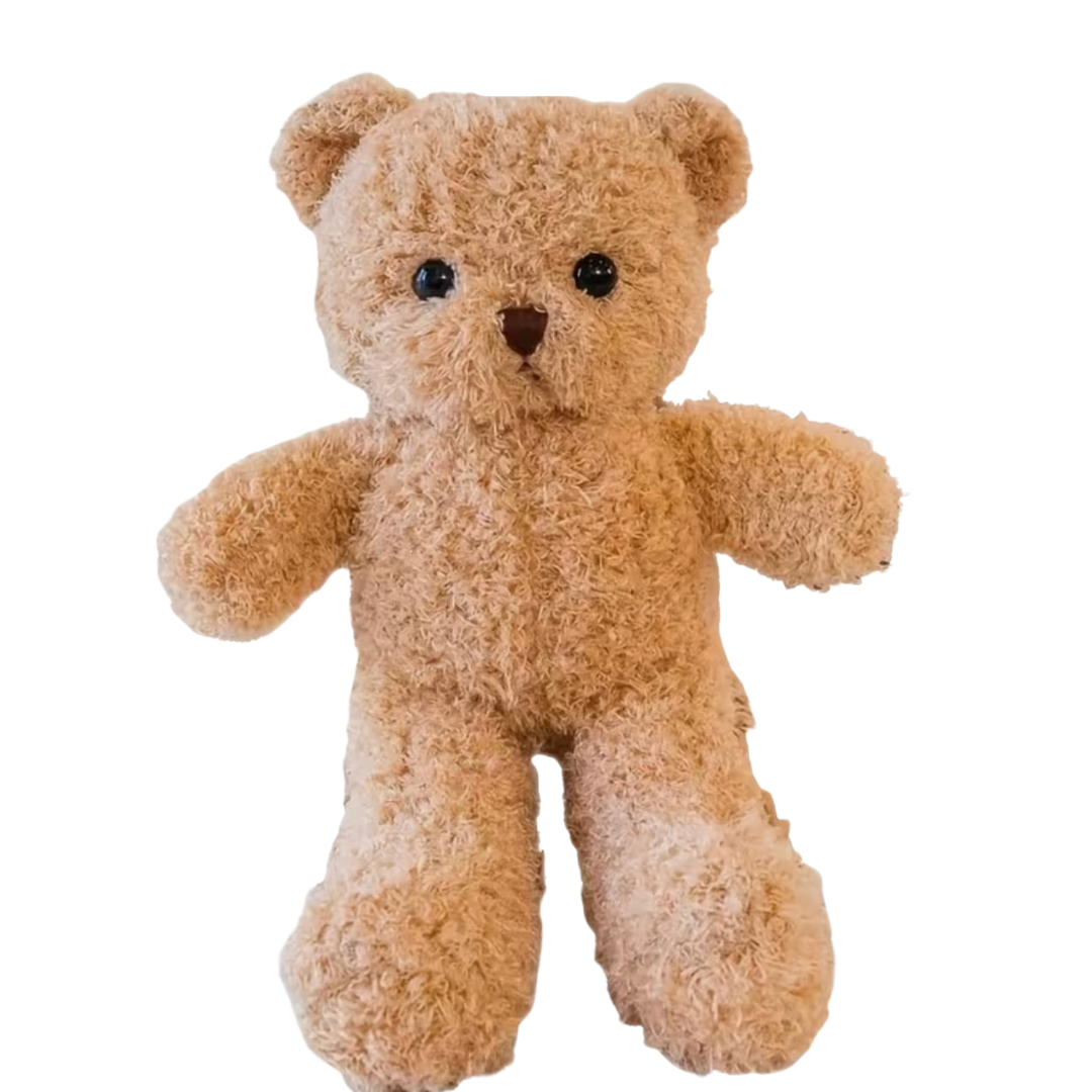 Plush Teddy Bear Toy