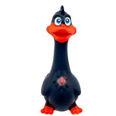 Squeaky Black Chicken