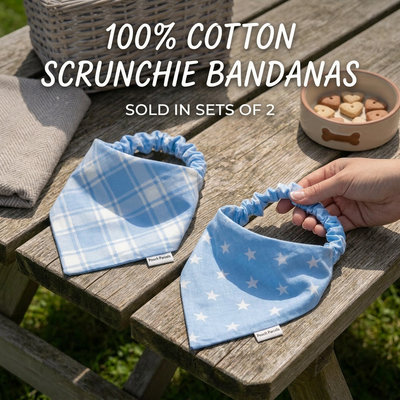 Scrunchie Bandana Set - Light Blue